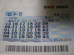 loto381.jpg